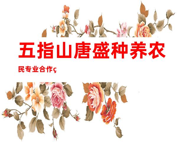 五指山唐盛种养农民专业合作社